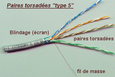 type_5.JPG (54985 octets)